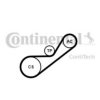 CONTITECH 4PK925K1 V-Ribbed Belt Set